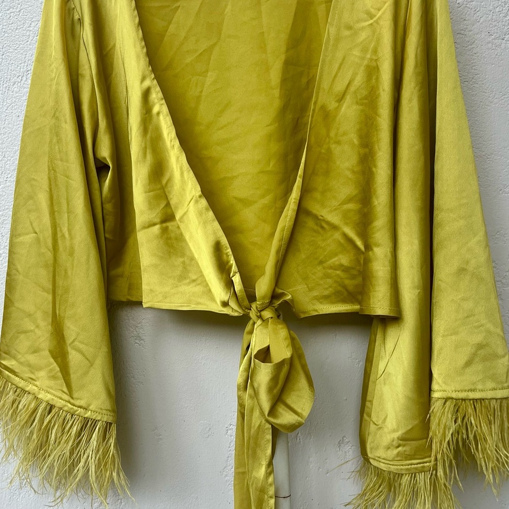Chic Yellow Tie-Front Blouse with Feathered Sleeves